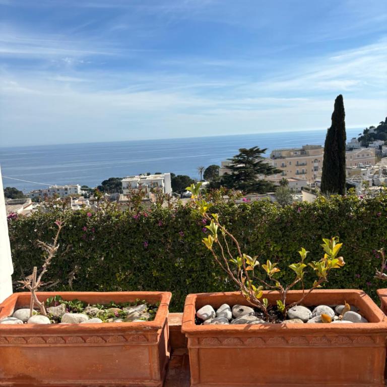 Sopramonte 39 - One-Bedroom Apartment - 7