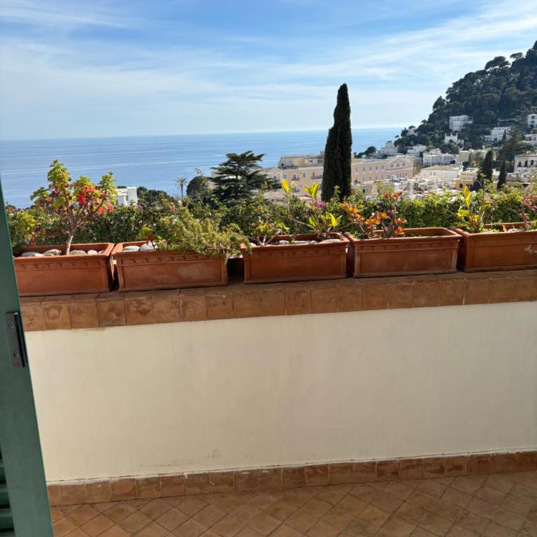 Sopramonte 39 - One-Bedroom Apartment - 10