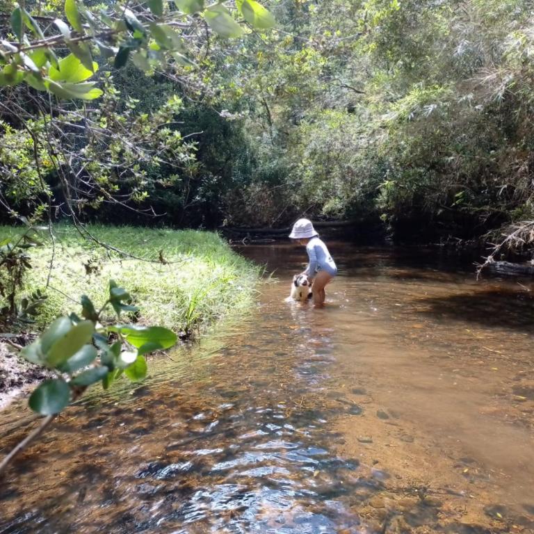 Cabaña Arrayan, Centro Ecovertientes San Carlos - Apartamento de 1 dormitorio - 17