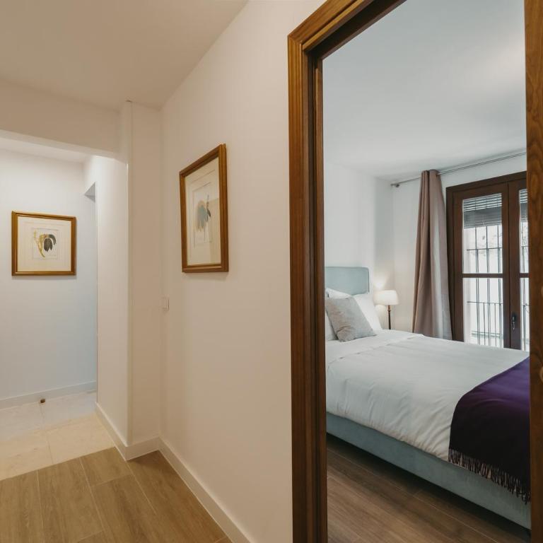 Apartamentos exclusivos en casco histórico - Apartamento - 14