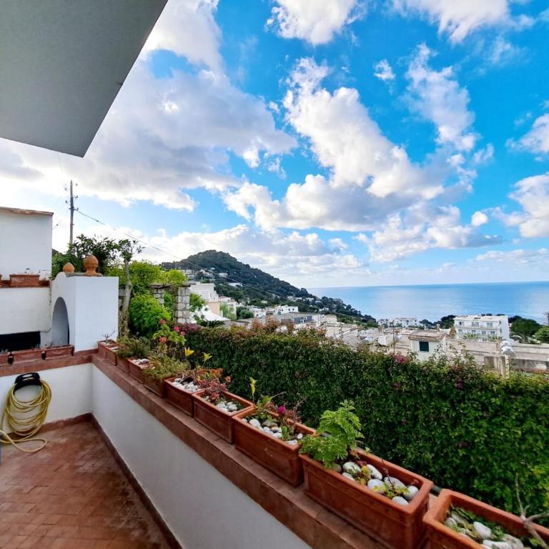 Sopramonte 39 - One-Bedroom Apartment - 5