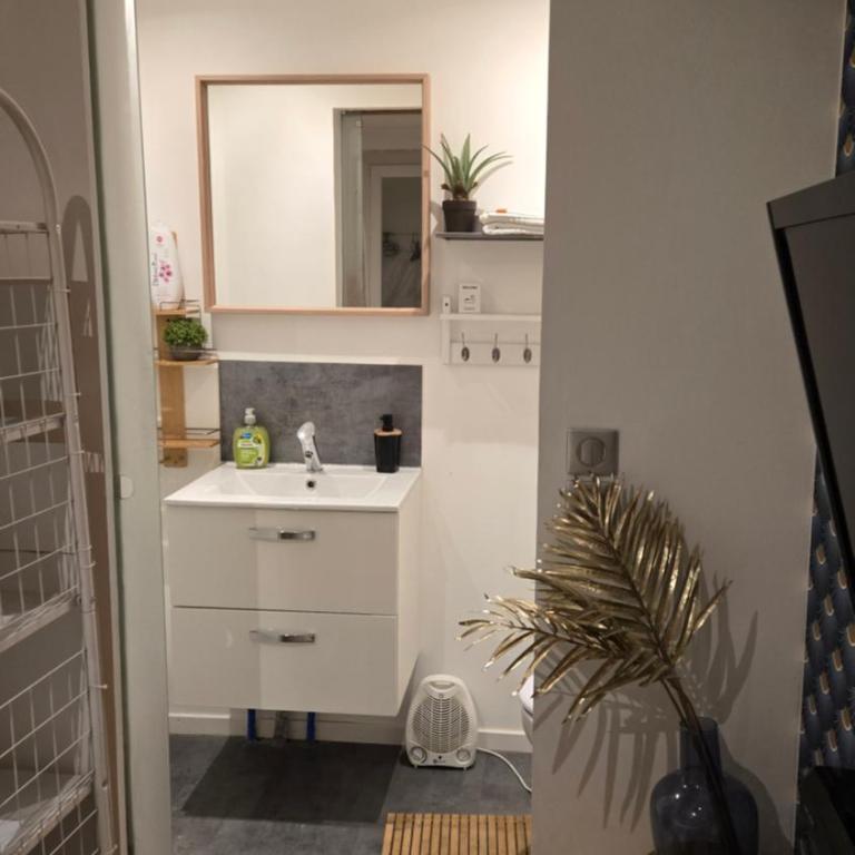 L'Échappée Zen Sauna Privatif et Shopping, tram à coté - Appartamento con 1 Camera da Letto - 28