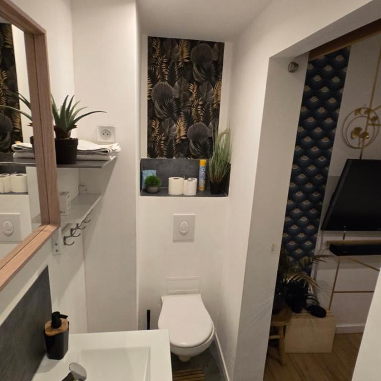 L'Échappée Zen Sauna Privatif et Shopping, tram à coté - Appartamento con 1 Camera da Letto - 29