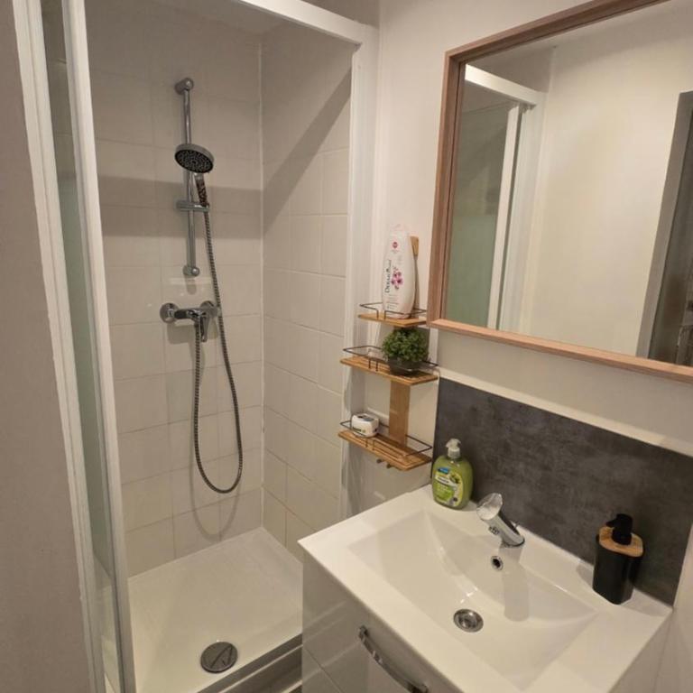 L'Échappée Zen Sauna Privatif et Shopping, tram à coté - Appartamento con 1 Camera da Letto - 25