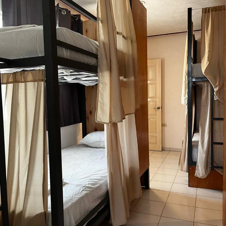 Hostel Treebu - Habitación Compartida Mixta de 8 camas - 7