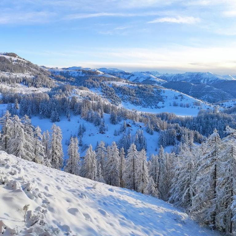 Alpen Panoramic - Appartement 2 Chambres - 19