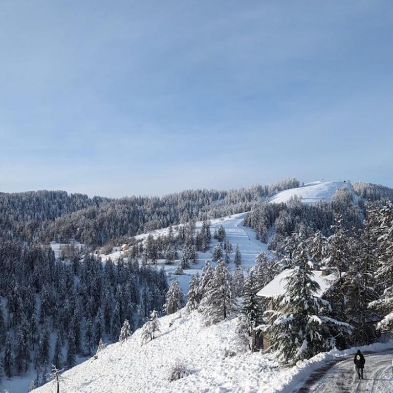 Alpen Panoramic - Appartement 2 Chambres - 23