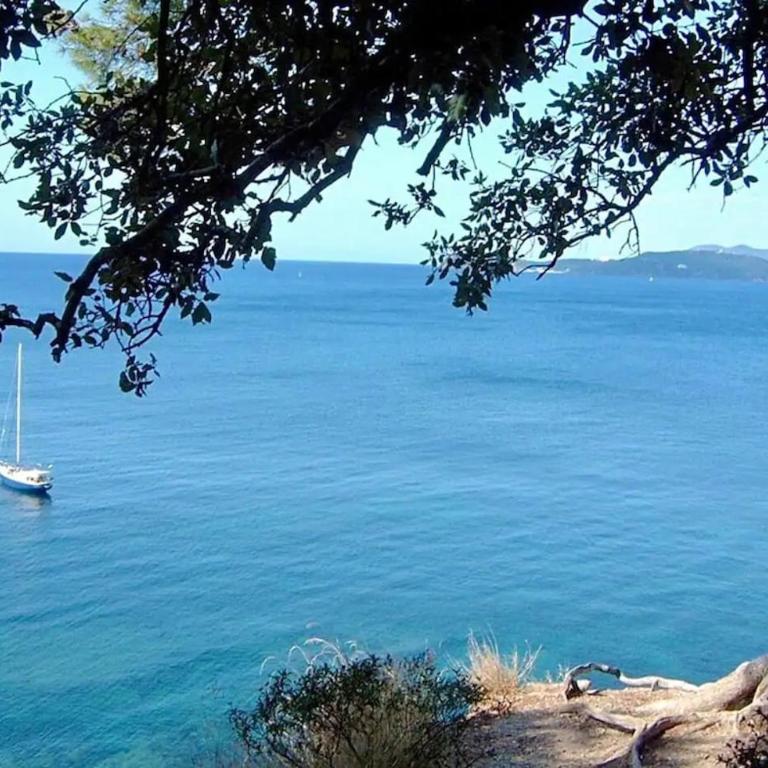 Le Malibu - Port de Carqueiranne - Tout à pied - Appartement - 38