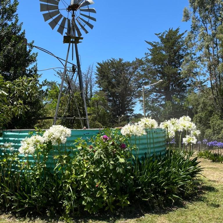 Cabaña Caballeriza La Prestancia - Casa de 2 dormitorios - 10
