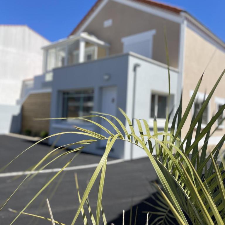 Etoile des Mers - Appartement avec Terrasse - 24