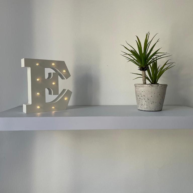 Le Rêveur au bord du Lez - Appartement 1 Chambre - 6