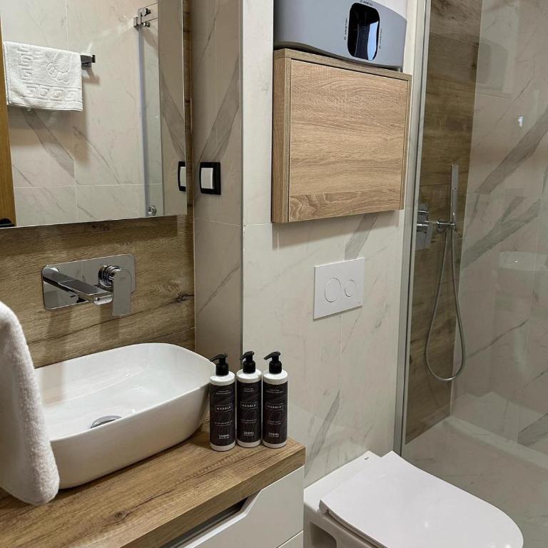 Mountain Paradise Ski In & Out - Vila Golija Kopaonik - Apartman sa 2 Spavaće Sobe i Pogledom na Planinu - 15
