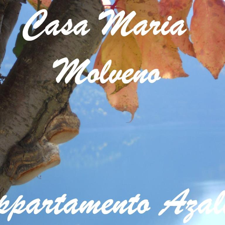 Casa Maria - Ampio Appartamento con 2 Camere da Letto e Terrazza - 28