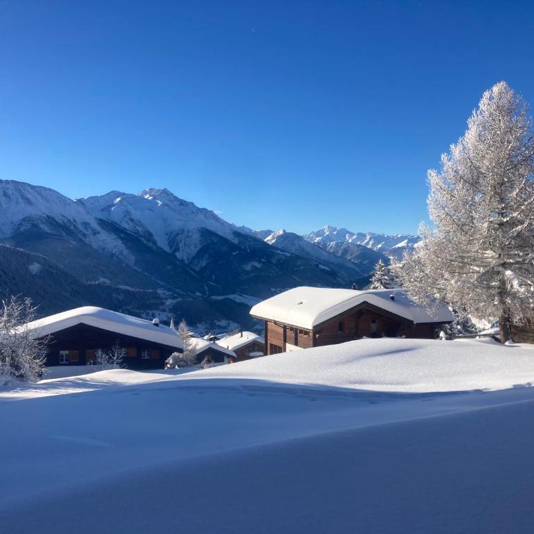 Chalet Waldesruh - Chalet - 2