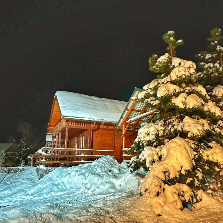 Brvnare Cirkovic - One-Bedroom Chalet - 19