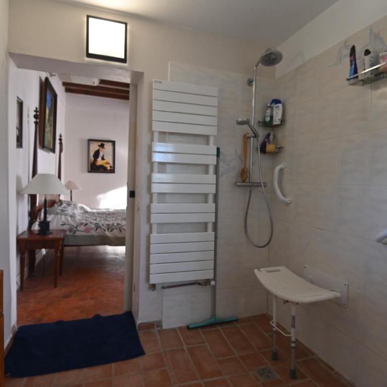 La Folie mas provençal climatisé avec piscine - Villa - 43