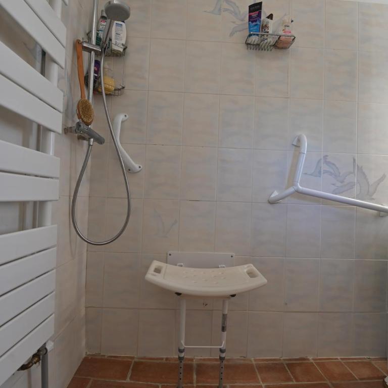 La Folie mas provençal climatisé avec piscine - Villa - 44