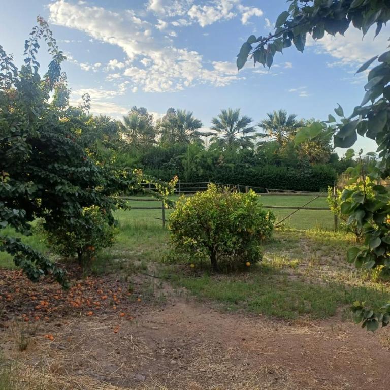 PARCELA en MELIPILLA - Casa con 1 dormitorio - 6