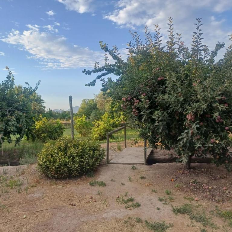 PARCELA en MELIPILLA - Casa con 1 dormitorio - 13
