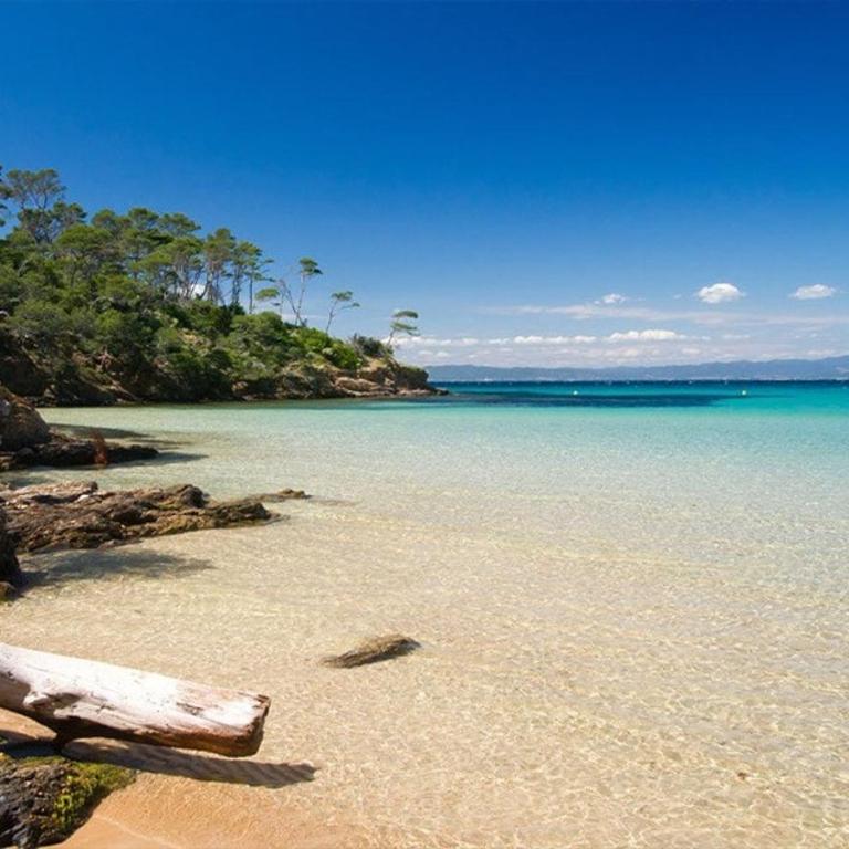 Le Rivage - À 50m de la plage des Salins - Piscine - Apartment - 33