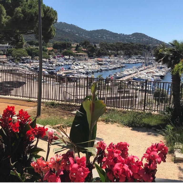 Le California - Port de Carqueiranne et plages - Appartement - 17