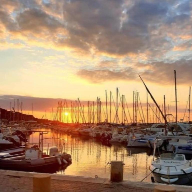 Le California - Port de Carqueiranne et plages - Appartement - 19