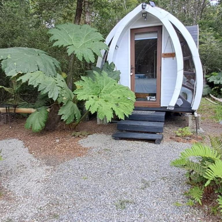 Cabañas Los Volcanes Ensenada Puerto Varas - Chalet de 1 dormitorio - 1