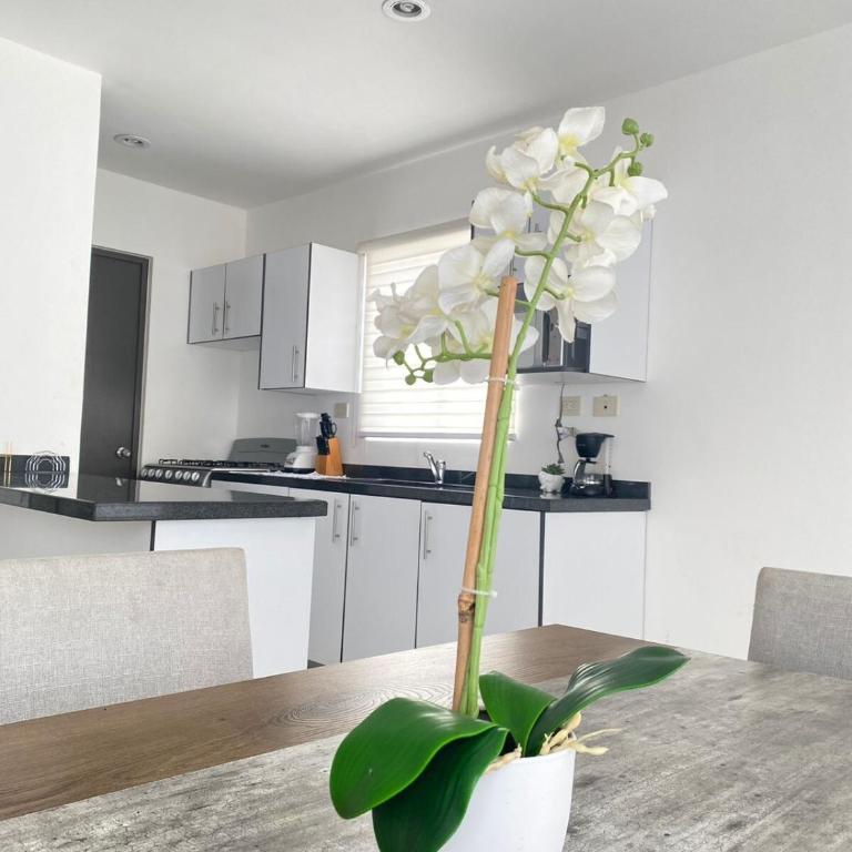 Alejandria Mazatlan Vacation Rental - One-Bedroom Apartment - 5