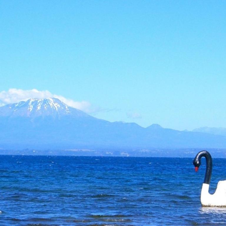 Cabañas entre Volcanes ,10 minutos de Puerto Varas, capacidad hasta 8 personas - Apartamento de 2 dormitorios con vistas al jardín - 17