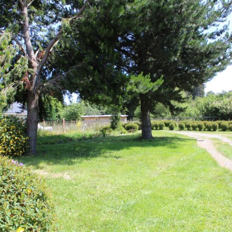 Cabañas entre Volcanes ,10 minutos de Puerto Varas, capacidad hasta 8 personas - Apartamento de 2 dormitorios con vistas al jardín - 21