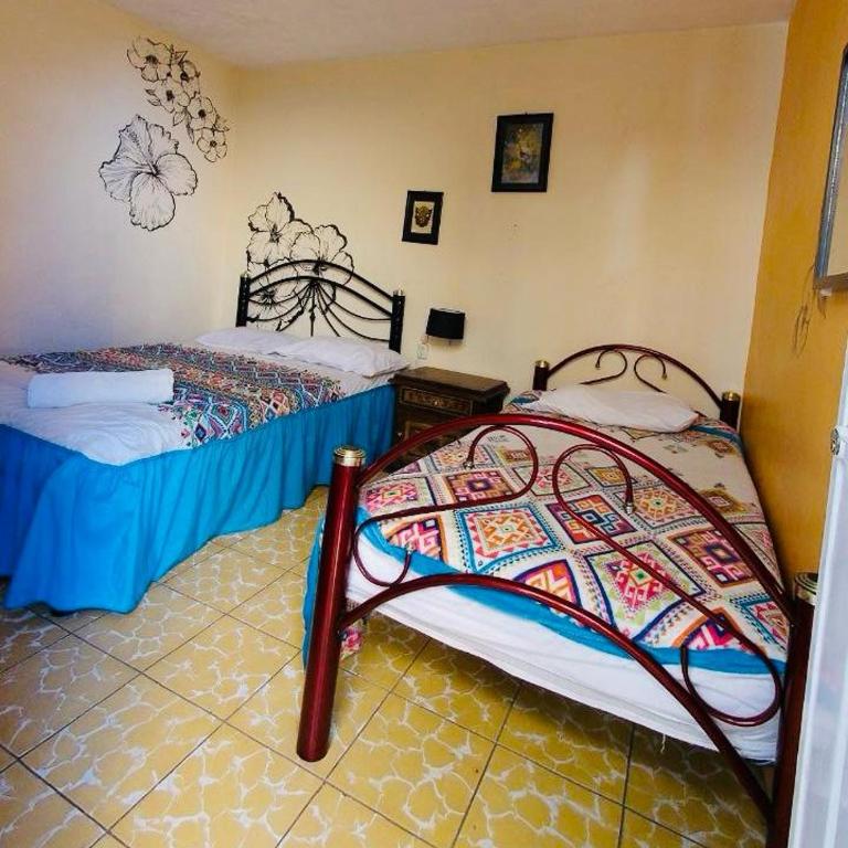 Los Nardos Hostel -pet friendly- - Triple Room - 20