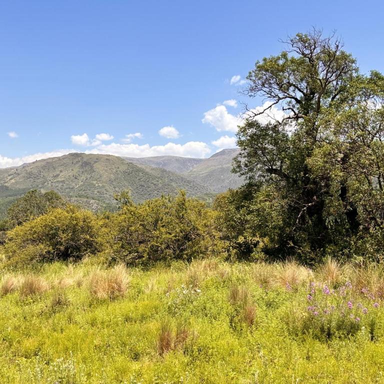 Alojamiento en san clemente Pampa y Rio cabaña Lihuel - Chalet de 1 dormitorio - 3