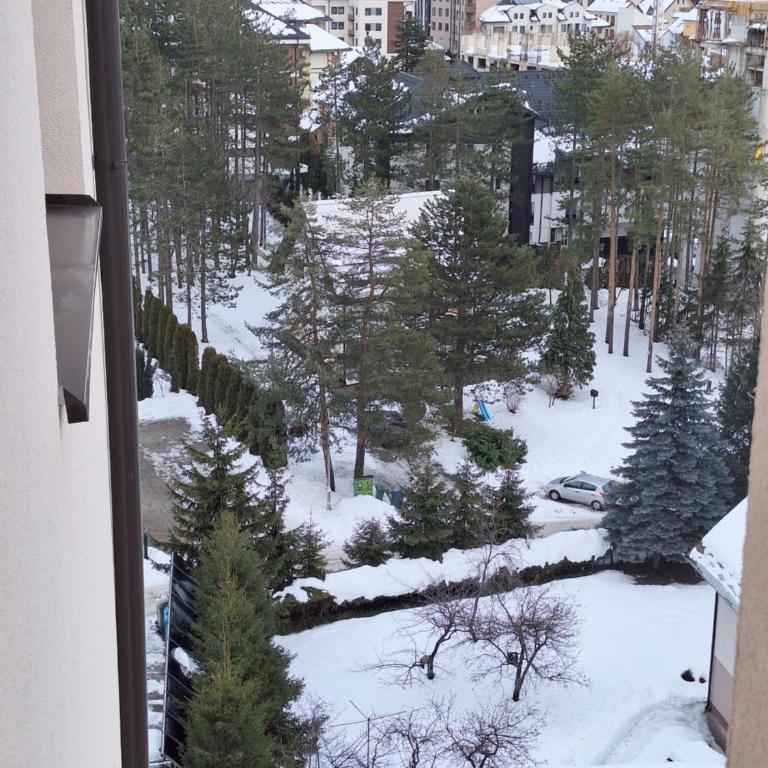 Briliant Apartman Zlatibor - One-Bedroom Apartment - 18