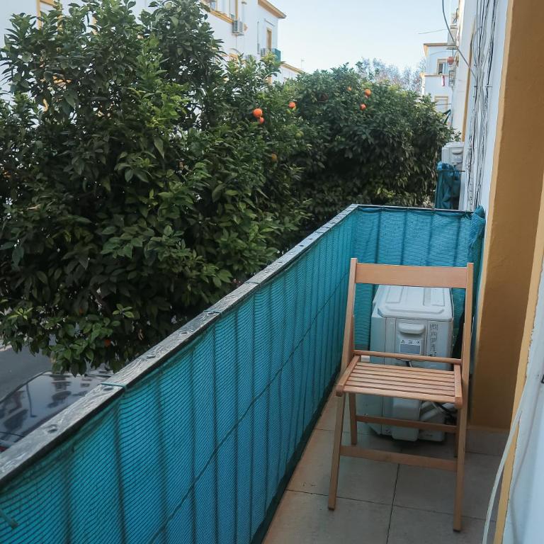 Habitaciones Climatizadas Isla Chica - Habitación Individual Estándar con baño compartido - 19