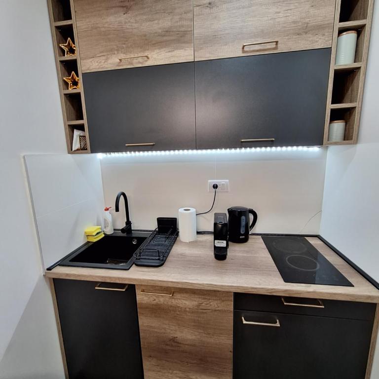 Briliant Apartman Zlatibor - One-Bedroom Apartment - 11
