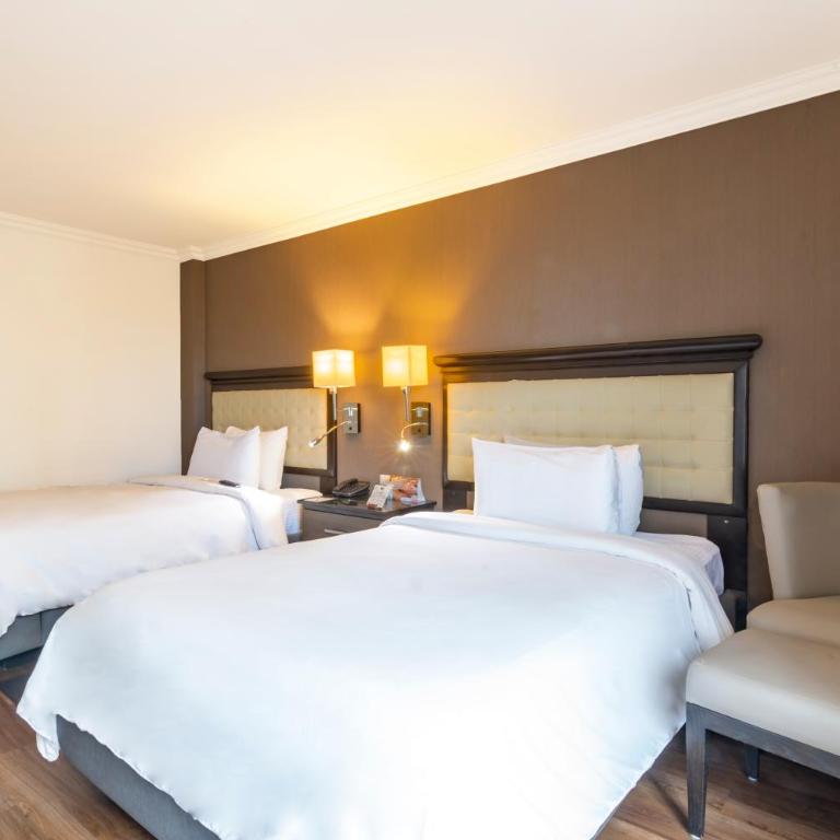 Hotel Lucerna Tijuana - Executive Double Room - 3