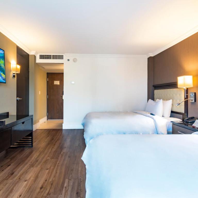 Hotel Lucerna Tijuana - Executive Double Room - 6