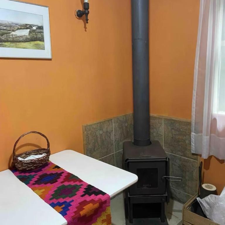 Cabañas Isla Teja - Apartamento de 1 dormitorio - 1