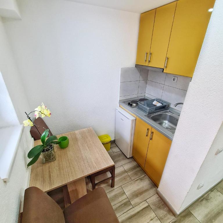 Vila Aleksandra 2 Studio 2 - Studio sa Terasom - 10