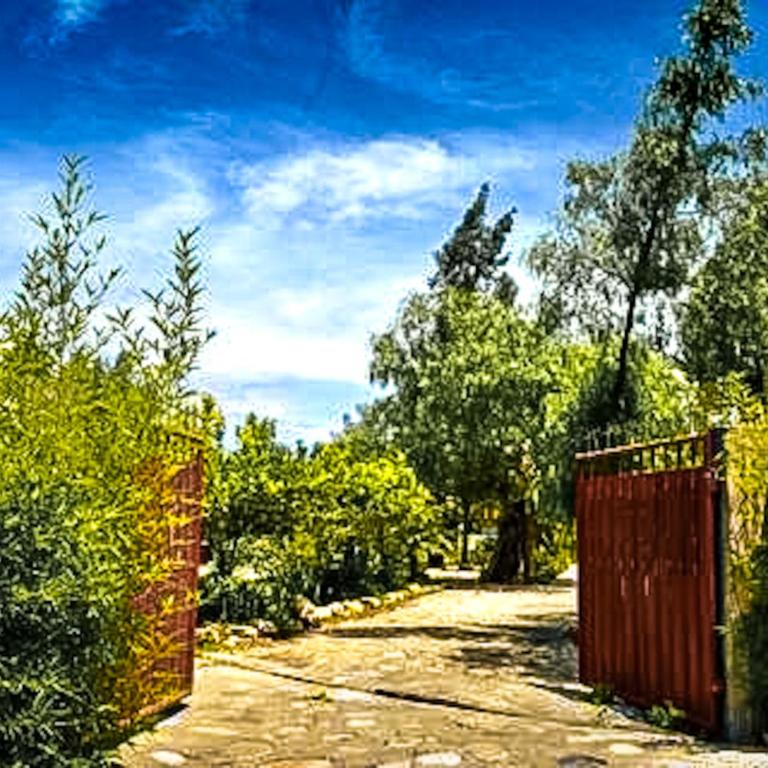 Casa de Campo en la Campiña de Caraz - Two-Bedroom House - 3