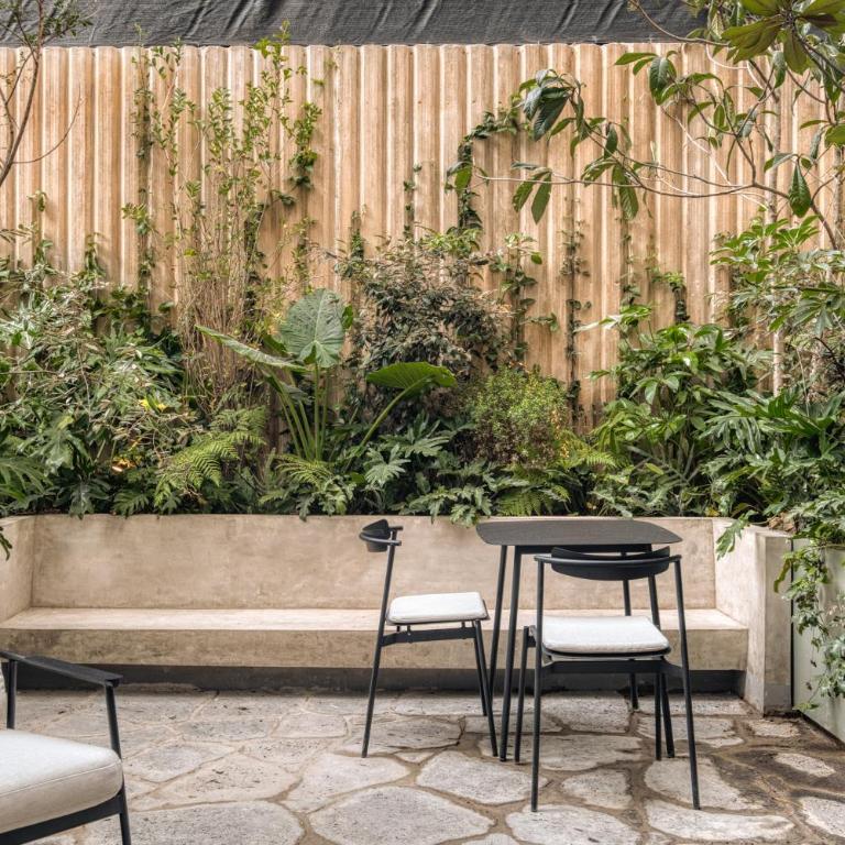 ONTO Alvaro Obregon Mexico City - Estudio con terraza - 6