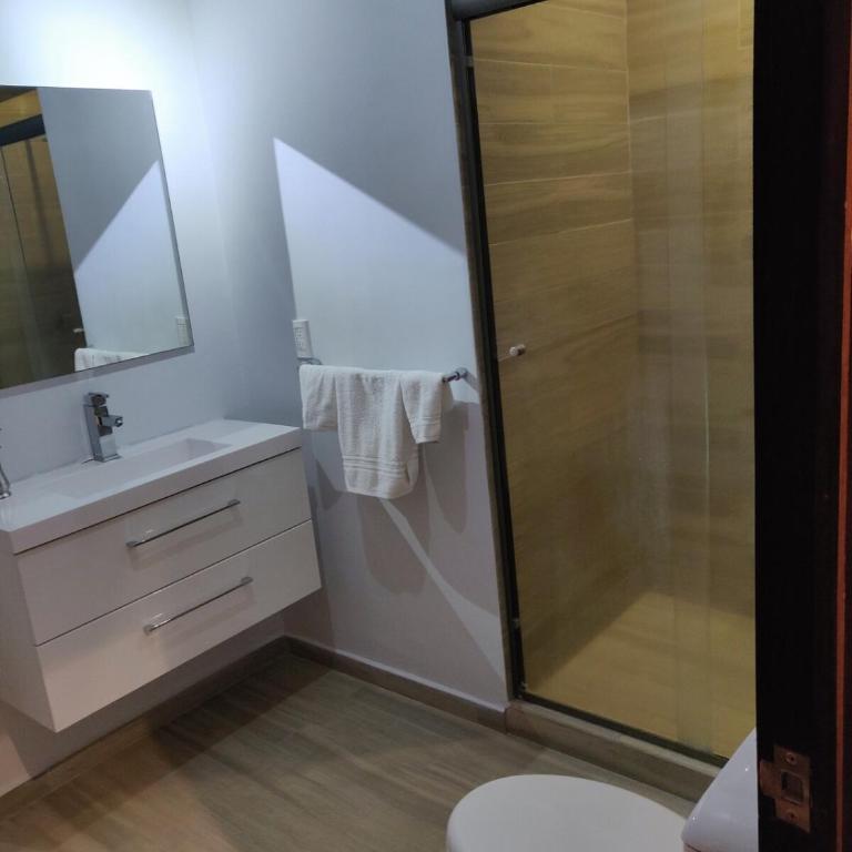 Orizaba, Roma Norte - One-Bedroom Apartment - 7