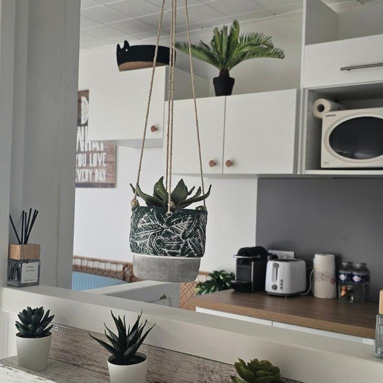 Studio 2 personnes Vue Mer Climatisé Linge Maison - Apartamento de 1 dormitorio - 7