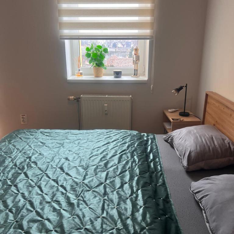 Apartman D - Apartment - 16