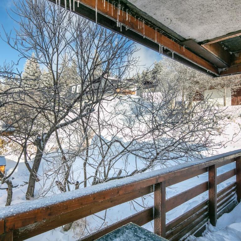 Le Bleuet - Vue montagne pistes accessibles à pied - Appartement 1 Chambre - 12