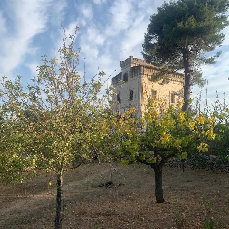 Torre Marinella - Double Room with Garden View - 11