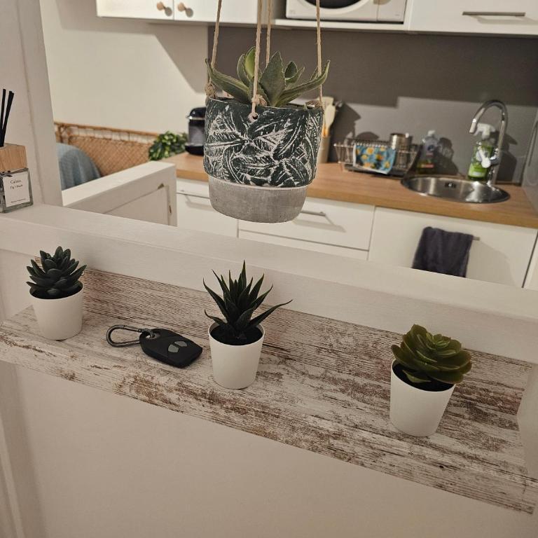 Studio 2 personnes Vue Mer Climatisé Linge Maison - Apartamento de 1 dormitorio - 24