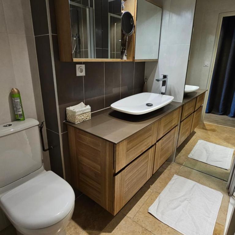 Gîte de Bonneville - Appartement - 11