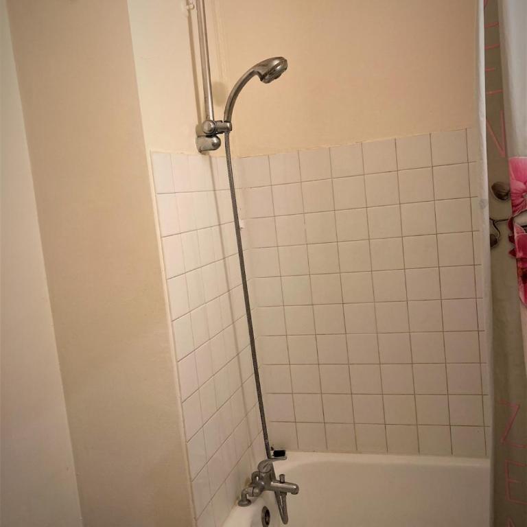 Appartement double à LIMOGES - Apartment mit 1 Schlafzimmer - 9