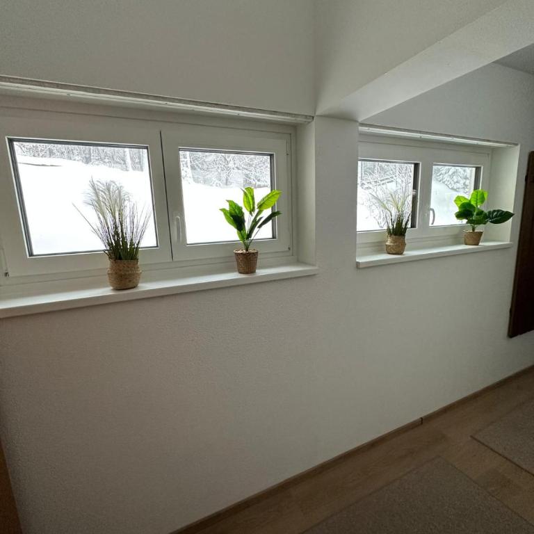 Koralpen Appartement - Apartment mit 1 Schlafzimmer - 12
